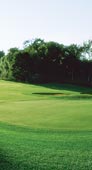 Lake Geneva, Wi golf just minutes away