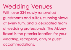 Lake Geneva Wedding